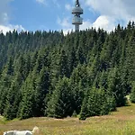 Yanevi At Grand Monastery Pamporovo