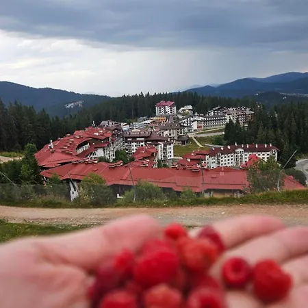 Apartment Yanevi At Grand Monastery