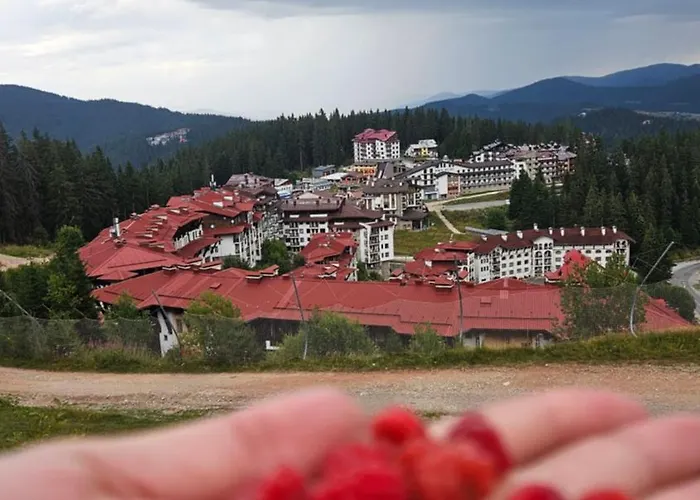 Apartment Yanevi At Grand Monastery