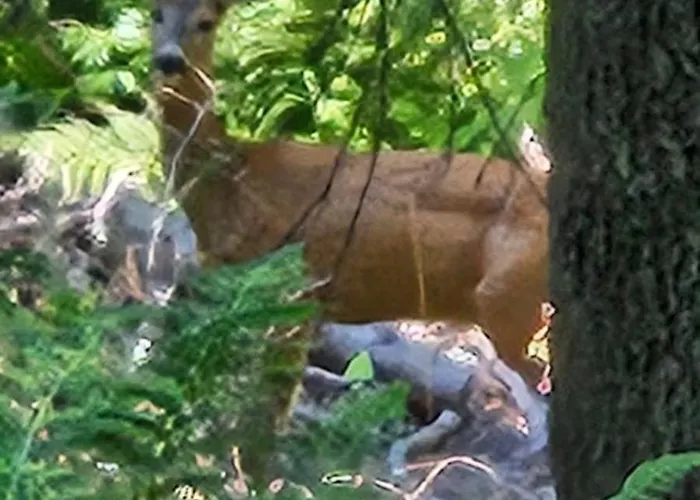 Apartment Yanevi At Grand Monastery